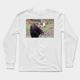 Large moose in a forest Long Sleeve T-Shirt